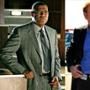 Laurence Fishburne, David Caruso, CSI