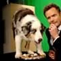 Joel McHale, Stains