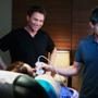 Private Practice, Tim Daly, Amy Brennemen, Chris Lowell