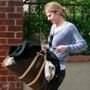 Lindsay Lohan's Assistant
