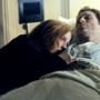 The X- Files, David Duchovny, Gillian Anderson