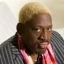Dennis Rodman, Celebrity Apprentice