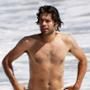 Adrian Grenier 
