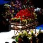 Michael Jackson's Casket
