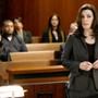 The Good Wife, Julianna Margulies