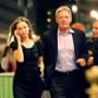 Calisita Flockhart, Harrison Ford
