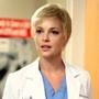 Katherine Heigl, Grey's Anatomy, Sarah Drew