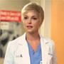 Katherine Heigl, Grey's Anatomy