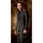 Twilight, Robert Pattinson, New Moon, Wall Skin