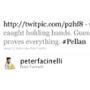 Peter Facinelli, Twitter