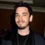 DJ AM (Adam Goldstein), Learjet Crash