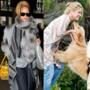 Rihanna, Shakira, Rebecca Gayheart