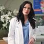 Chyler Leigh, Grey's Anatomy
