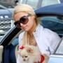Paris Hilton