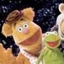 Muppets, Jason Segel