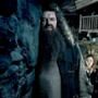 Harry Potter and the Order of the Phoenix, Robbie Coltrane