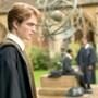 Harry Potter, Robert Pattinson, Daniel Radcliffe