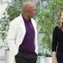 Greys Anatomy, Jessica Capshaw, James Pickens Jr.