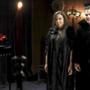 Jersey Shore Cast, Jimmy Kimmel Live, Twilight Saga, Total Eclipse of the Heart