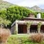 Mel Gibson, Estate