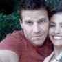 David Boreanaz