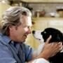 A DOG YEAR, Jeff Bridges
