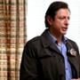 Jeff Goldblum, Law and Order: Criminal Intent