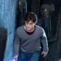 DANIEL RADCLIFFE, HARRY POTTER AND THE DEATHLY HALLOWS 
