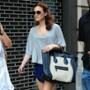 Leighton Meester