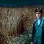 Daniel Radcliffe, Harry Potter and The Deathly Hallows Photos