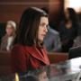 Julianna Margulies, Michael J. Fox, The Good WIfe
