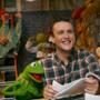 The Muppets, Jason Segel, Kermit, Miss Piggy