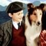 Elizabeth Taylor, Roddy McDowell, Lassie