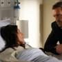 House, Hugh Laurie, Lisa Edelstein
