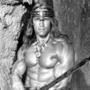 Arnold Schwarzenegger, Conan