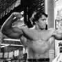 Arnold Schwarzenegger, Hercules