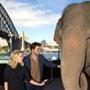 Robert Pattinson, Reese Witherspoon