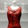 Lady Gaga, Meat Dress