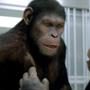 Rise Of The Planet Of The Apes, Tom Felton