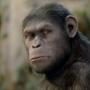 Rise Of The Planet Of The Apes, Tom Felton