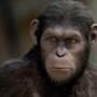 Rise Of The Planet Of The Apes, Tom Felton