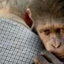 Rise Of The Planet Of The Apes, Tom Felton
