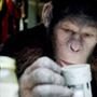Rise Of The Planet Of The Apes, Tom Felton