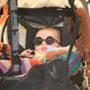 Skyler Morrison Berman, Rachel Zoe Baby
