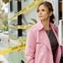 The Closer, Kyra Sedgwick