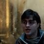 Harry Potter and the Deathly Hallows Part 2, Daniel Radcliffe