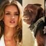 Rosie Huntington-Whitley, Transformers, Hangover 2, Ryan Reynolds. Green Lantern
