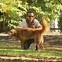 Ryan Reynolds