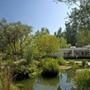 Ellen Degeneres, Portia De Rossi, Beverly Hills Home 