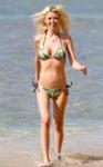 Tara Reid Tara Reid